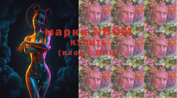Альфа ПВП Белокуриха