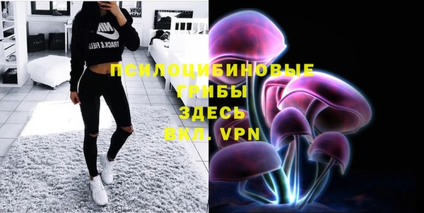 a pvp Беломорск