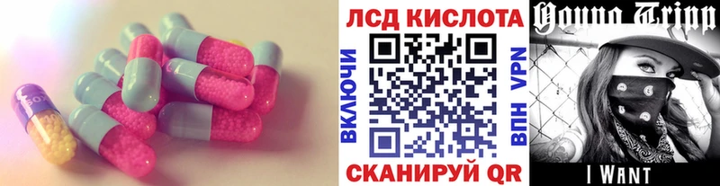 купить   Строитель  Лсд 25 экстази кислота 